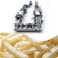 Productielijn voor diepvriesaardappelen 2000 kg/uur, aardappelverwerkingsmachine, machine voor het verwerken van frieten, productielijn voor aardappelchips