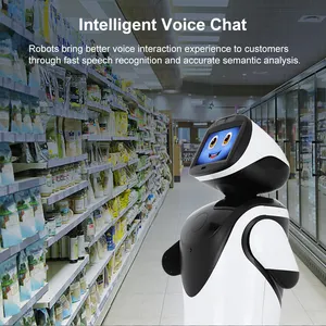 Intelligent Interaction Roboters Face Recognition Marketing Assistant AI Transformer Robots For Reception Advertising