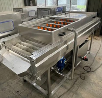Automatische borstelrolwasser met sproeisysteem, continue borstelwasser voor productielijnbedrijf