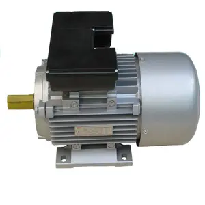 (YLX132S2) Yl Series7.5Hp 5.5Kw Single-Fase Twee Waarde Condensator Asynchrinous Motor