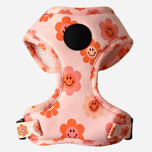 Km PuppyDogs, logotipo de goma personalizado, conjunto de arnés de plomo para perros y mascotas, <span class=keywords><strong>Collar</strong></span> y arnés de gato de etiqueta privada para <span class=keywords><strong>Collar</strong></span> y Correa, suministros para mascotas - Product Image 2