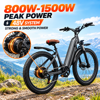 Vélo Électrique Fat Bike Personnalisable Chine, Moteur Brushless, Longue Autonomie 75 Miles, Batterie 48V 60V, Freins à Disque Doubles, Noir