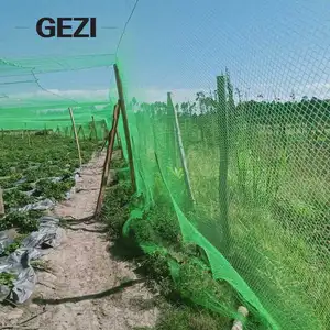 Small Hole Plastic Bird Netting With Better Performance Outcomes 
