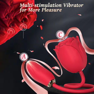 Stimolatore Clitorideo a Rosa, Ovulo Vibrante a Doppia Stimolazione, Potente Vibratore a Succhiamento per Donne, Ricarica USB, Giocattoli Sessuali per Adulti in Silicone - Product Image 4