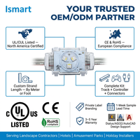 Luces LED de Puntos de Píxeles Ismart, DC48V, Luces de Medusa Ws2811 Ucs2904, Luces Navideñas Permanentes para Exteriores, Impermeables para Aleros