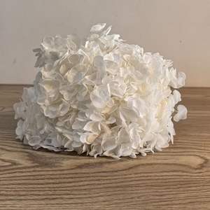 Anna büyük yaprak ortancaları korunmuş ağartılmış renk tek toplu kurutulmuş çiçekler ve bitkiler çiçek duvar dekor babalar günü - Product Image 1