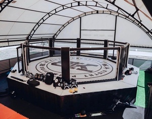 Jaula de Campeonato <span class=keywords><strong>UFC</strong></span> Elevada, Portátil, para Exteriores, Octagonal, para Entrenamiento de MMA, Personalizable, de Acero, para Boxeo y Artes Marciales - Product Image 4