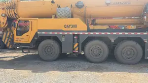 رافعة شاحنة مستعملة بضائع بالغرض رافعة نقل 300 طن رافعة تستخدم لجميع التضاريس QAY300