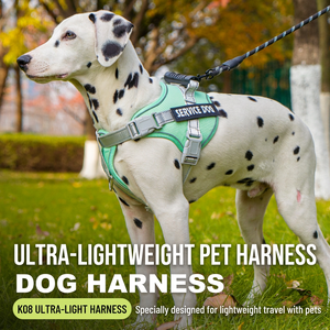 Arnés Reflectante para Perro, Correa Ajustable para el Pecho con Etiqueta de Identificación para Paseos al Aire Libre - Product Image 1