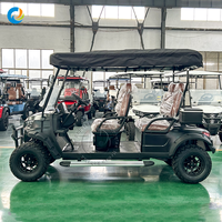 Robetaa OEM Service Professional 4 Seater Battery Powered Electric Golf Cart dengan Sertifikat CE Electric Golf Buggy