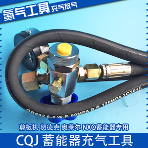 Herramienta de llenado de nitrógeno Cqj para acumulador Nxq 16 25 40 Mpa, válvula de carga de aire para máquina de corte hidráulica - Product Image 5
