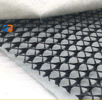 Filet de drainage géocomposite 3D en HDPE pour la protection des couches de drainage des décharges, des tunnels, des routes, des sous-sols et des fondations