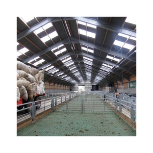 Establo de Acero Multi-Span Extensible para Vacas, para Operaciones de Ordeño a Gran Escala - Product Image 3