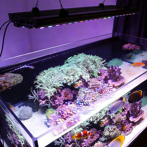 10 Watt Led Light Bar Aquaria Blauw Plus Koraal Fluorescerende Kleuren Veranderlijk Onderwater Licht Aluminium Materiaal <span class=keywords><strong>Aquarium</strong></span> Lamp - Product Image 3