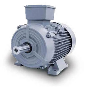 Motores de Inducción Trifásicos de CA de 315 kW, 4 Polos, 1500 rpm, Serie B3 1LE0, Eficiencia IE2, 50/60 Hz, IP55, Carcasa de Hierro Fundido, Montaje en Base - Product Image 1
