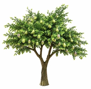 <span class=keywords><strong>Arbre</strong></span> artificiel <span class=keywords><strong>de</strong></span> <span class=keywords><strong>fruit</strong></span> <span class=keywords><strong>de</strong></span> <span class=keywords><strong>la</strong></span> <span class=keywords><strong>passion</strong></span> personnalisable, réaliste, pour <span class=keywords><strong>la</strong></span> décoration intérieure d'hôtels et d'espaces commerciaux - Product Image 3