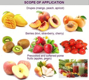 Mango Beater <b>Machine</b> Mango <b>Juice</b> Making <b>Machine</b> - Product Image 3