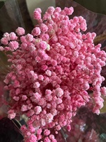 120g Vente en Gros Usine de Fleurs Séchées Naturelles Stabilisées Gypsophile Souffle de Bébé, Bouquet Floral pour Mariage Fête des Mères Noël
