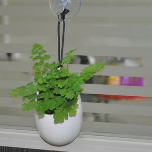 2025 New Factory Garden Indoor Outdoor Ceramic <strong>Vase</strong> Decoration Home <strong>Vases</strong> Decor Modern Ceramic <strong>Flower</strong> <strong>Vases</strong> - Product Image 1