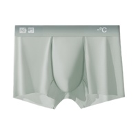 Caleçons Boxers Homme Antibactériens 7A à Ions d'Argent Dégradé, Respirants, Séchage Rapide, Haute Élasticité, Tendance, en Nylon et Coton, ODM