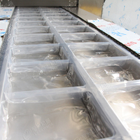 Ligne d'emballage automatique de dattes de palmier Système de production à haut rendement