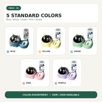 Station d'alimentation inclinée pour chat avec bol amovible en acier inoxydable et distributeur d'eau par gravité de 500 ml pour l'alimentation quotidienne