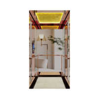 Ascenseur panoramique pour villas, ascenseur à traction en acier inoxydable, disponible en différentes couleurs et styles, capacité de 400 à 800 kg, ascenseur domestique