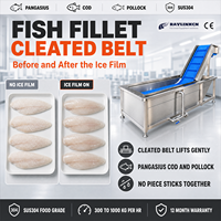 Chaîne du Froid Machine de Glazurage pour Poisson Surgelé Acier Inox 304 Bande Modulaire Plastique Pangasius Glaçage Protecteur