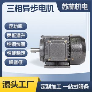 มอเตอร์สามเฟส Dingyi Machinery Equipment รุ่น Ye3-80M-4 กำลังไฟ 550 วัตต์ แรงดันไฟฟ้า 380 โวลต์ โครงเหล็ก สำหรับอุปกรณ์เครื่องจักรกล - Product Image 5