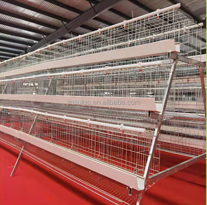 Cages en batterie galvanisées de type H pour l'élevage de poulets de chair et de poules pondeuses, 3 à 4 niveaux, équipement d'élevage avicole - Product Image 6