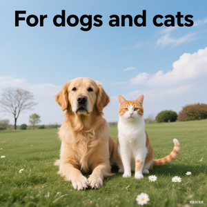 L-Lysine Goutte Liquide Personnalisé Supplément Alimentaire Allergie pour Animaux de Compagnie Chiens et Chats Soins de Santé et Suppléments Soutient le Système Immunitaire - Product Image 2