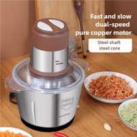 Hachoir Électrique Automatique en Acier Inoxydable pour Viande, 2L et 3L, Idéal pour la Cuisine Domestique - Nouveauté en Promotion