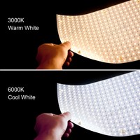 RAYMATES Bande LED Flexible 24V Haute Qualité SMD2835 Découpable 450 LED pour Rétroéclairage de Pierre/Marbre pour Sites Sportifs