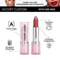 Rouge à lèvres mat en marque privée, petit MOQ, logo personnalisé, OEM, vente en gros de cosmétiques, fournitures de beauté