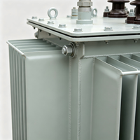 Transformateur de distribution immergé dans l'huile triphasé ONAN pour extérieur/intérieur 35kV 3150kVA S20-M-3150/35 pour l'alimentation des parcs industriels