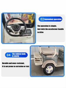 最畅销的1000W电动货运三轮车，可载2人，60V电动三轮车，有封闭式和开放式车身类型可供销售 - Product Image 3