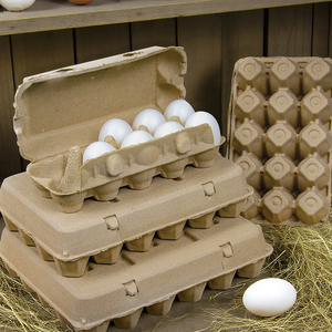 Biodegradable Eco-friendly 12 Hole <strong>Eggs</strong> Paper <strong>Packaging</strong> Tray Pulp Fiber <strong>Egg</strong> Carton Tray - Product Image 6