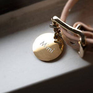 कस्टम लोगो स्टेनलेस स्टील धातुओं रवशामक बनाने की क्रिया उत्कीर्णन कॉलर कुत्ते टैग नाम आईडी पालतू रिक्त हड्डी कुत्ते टैग - Product Image 3