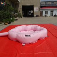 Piscine à balles gonflable colorée pour l'intérieur et l'extérieur, sur le thème des fleurs, pour les fêtes de mariage