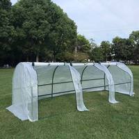 Serre de jardin en polycarbonate durable avec structure métallique robuste, montage facile pour une croissance optimale des plantes