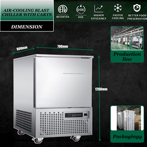 Congelador de puerta única de enfriamiento ultrarrápido para mariscos con bandejas, máquina de congelación de baja temperatura - Product Image 3