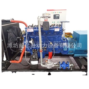 Grupo electrógeno de biogás y gas natural Weifang de 50KW industrial para hoteles y hospitales - Product Image 1