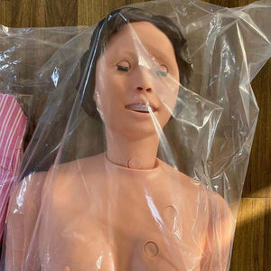 Mannequin de formation médicale en plastique Mannequin de science médicale multifonctionnel Offre Spéciale - Product Image 5