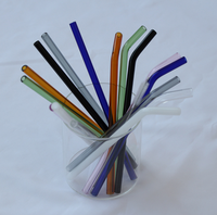Pailles en verre borosilicate réutilisables, écologiques, certifiées CE, droites et courbées, de qualité alimentaire, pour café, thé, smoothies, cocktails