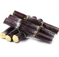 Suikerrietpoeder, voedingskwaliteit, Saccharum Officinarum poeder, suikerrietpoeder met groothandelsprijs, verpakking in vaten/zakken