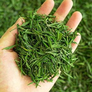 2025 नए आगमन G-TZ05 डिटॉक्सिफाइंग स्प्रिंग चयनित ग्रीन टी वेगन प्रमाणित प्लास्टिक-मुक्त क्लोरोफिल को बढ़ावा देते हैं - Product Image 2