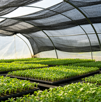 Rouleau de filet pare-soleil agricole noir pour jardin, ferme et plantes – Protection solaire extérieure en maille