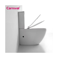 Chaozhou Manufacture Vente en gros Porcelaine Wc Monté au sol Washdown Sanitaire Toilette Cuvette en céramique colorée pour hôtel