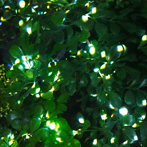 LED RGB al aire libre cielo estrellado luciérnaga DJ efecto láser Luz para fiesta baile Club <span class=keywords><strong>Disco</strong></span> - Product Image 2