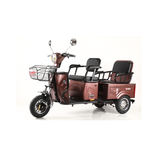 Dual-Purpose Electric Scooter with 60v 3-Wheeled Steel Frame Electric Tricycle for Mobility and Disabled Cargo Carrying